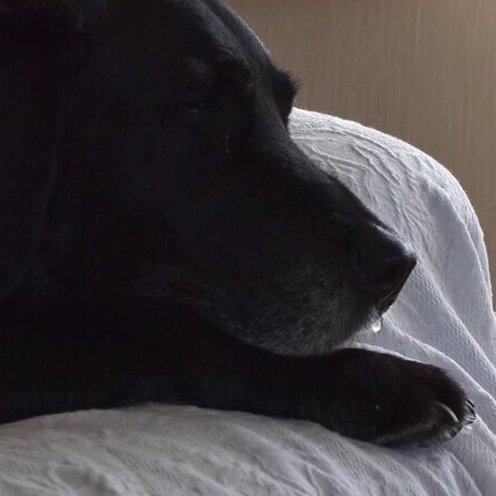 C0ff85fb 1f83 4e27 acff c0067dd1a851