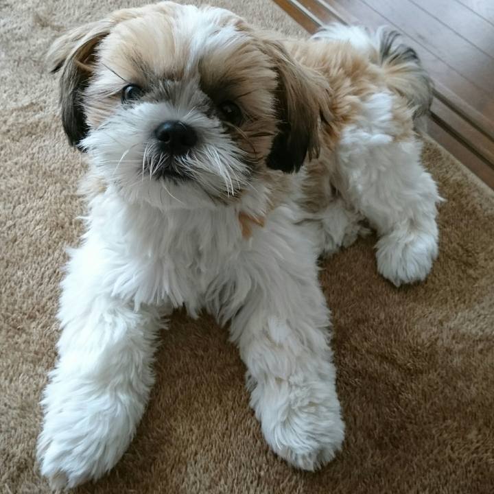 C0ffc489 b9fa 4663 85d1 5873ca77d154