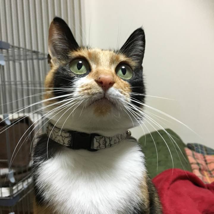 C1014706 7e26 46f6 ab87 a25abcb3a2f0