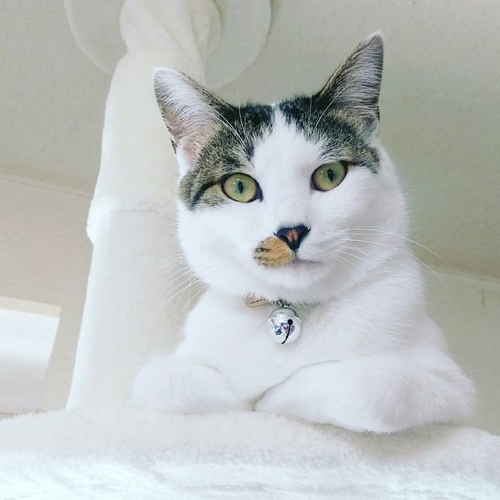 C101588c 3e19 46f8 86c5 fb28f4275c26