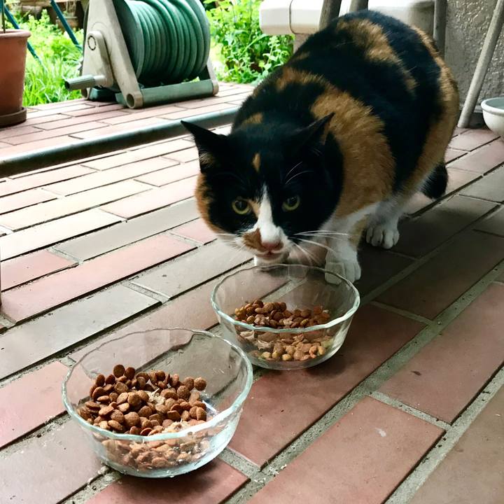 C1017a4e 35f4 468d 99d2 83d10fc4be6d