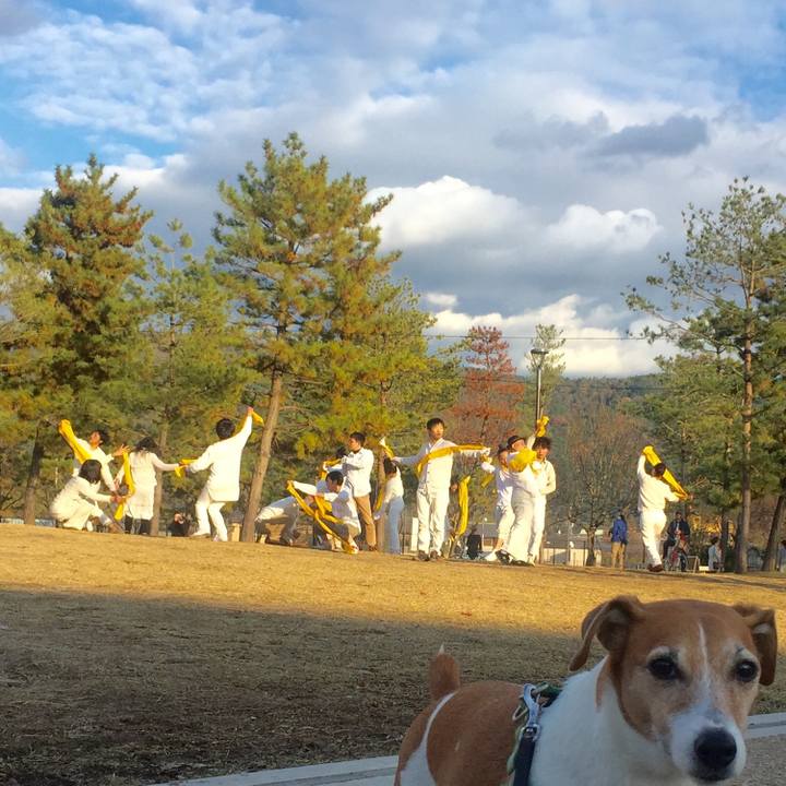 C1018655 20a5 4f0a 9692 98ddfdad501a