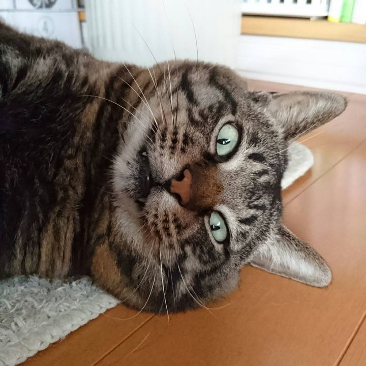 C101ad31 3aec 4c97 99d6 0385a79ec2ad