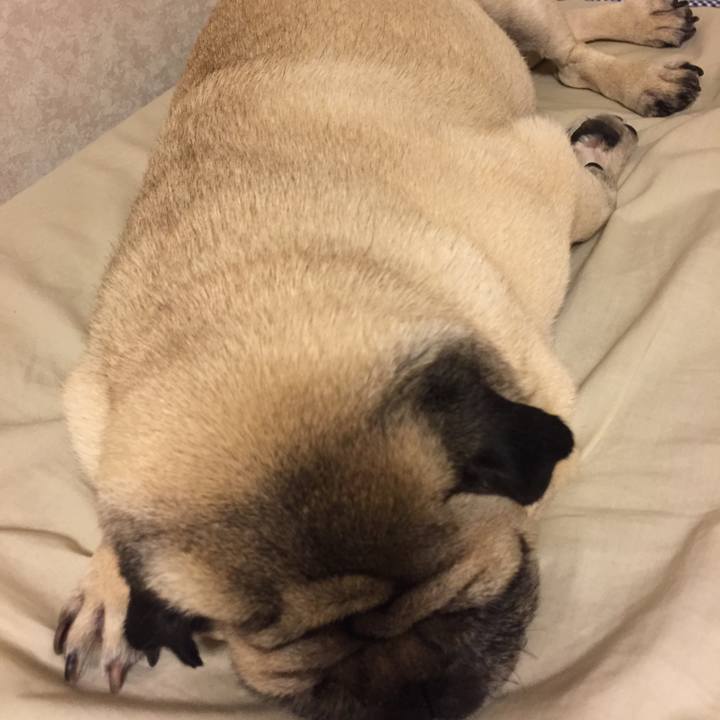 C101b958 fdc0 4123 8bab 6aeb6c85d787