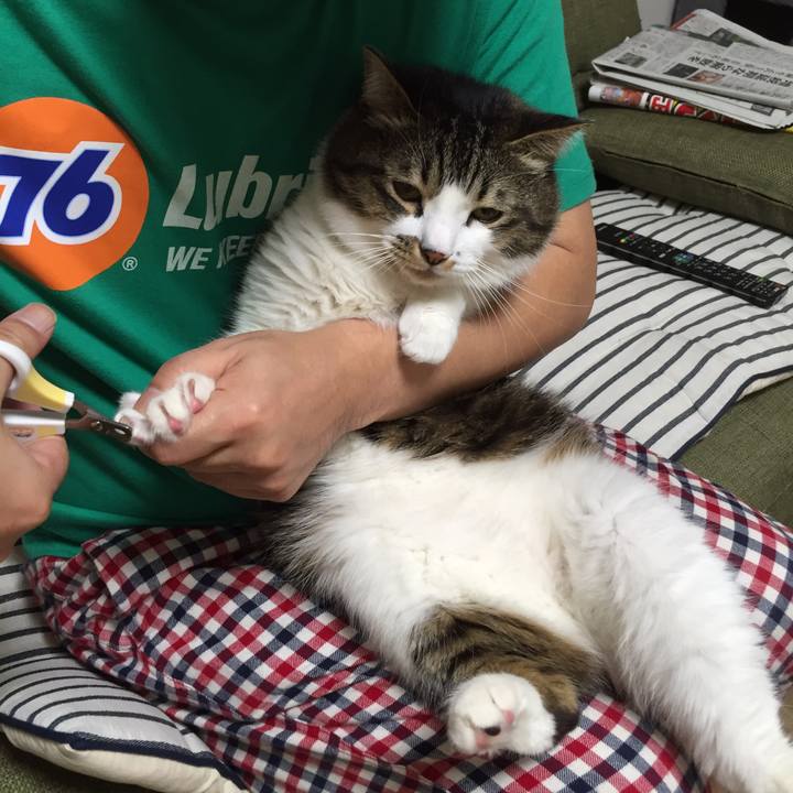 C103a8d5 440a 4813 b151 6d157a1ade27