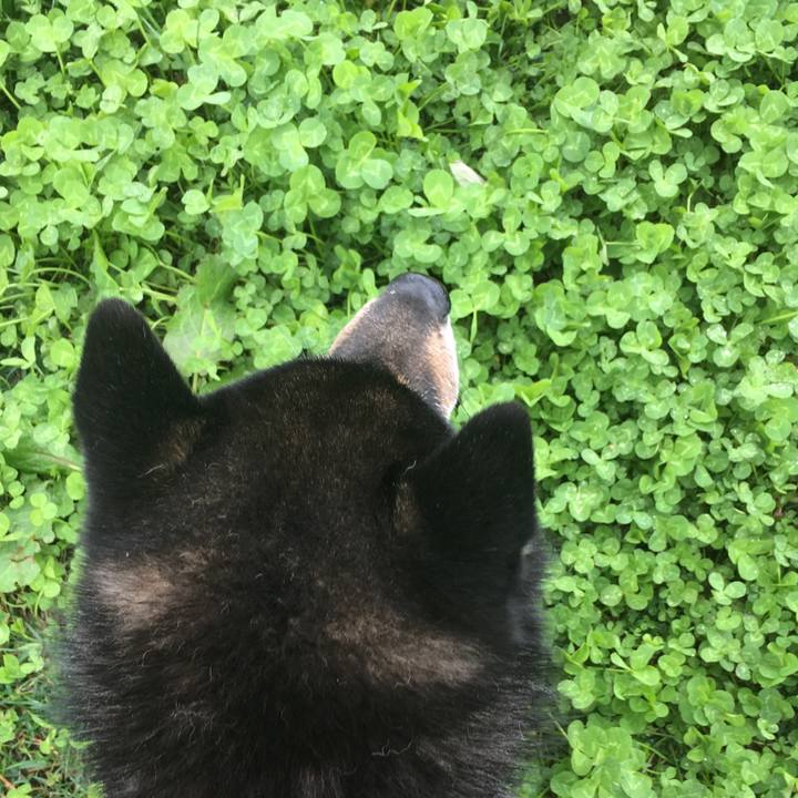 C1049de4 9bf1 4101 b6fd bb6c02fae7a2