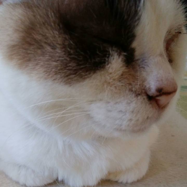 C104af77 37f7 4d6c 8f87 9e31affe3b7b