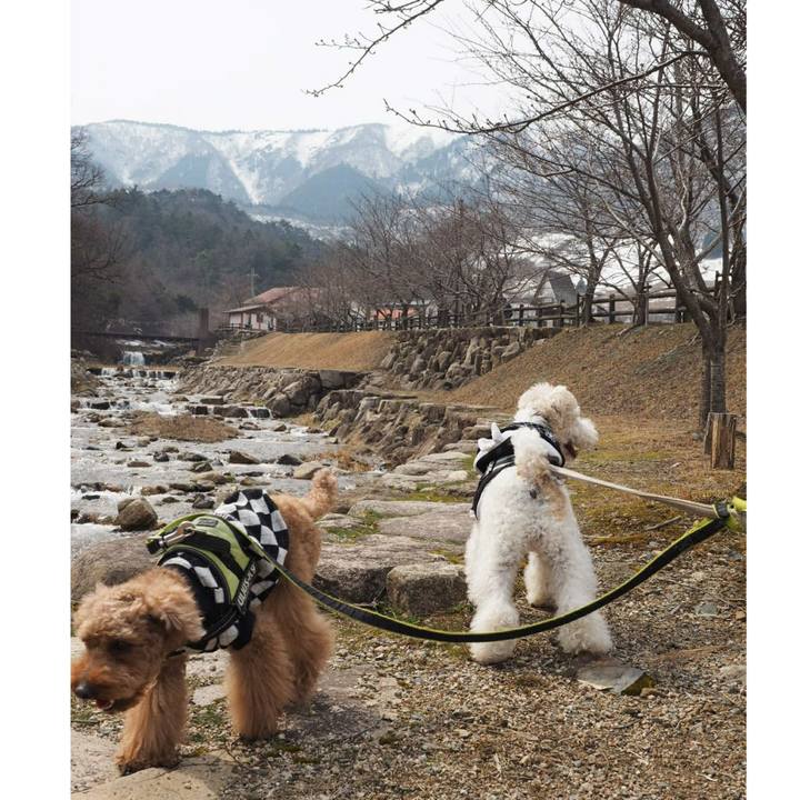 C104df76 997e 433f aa1c e5c8a67e36dd