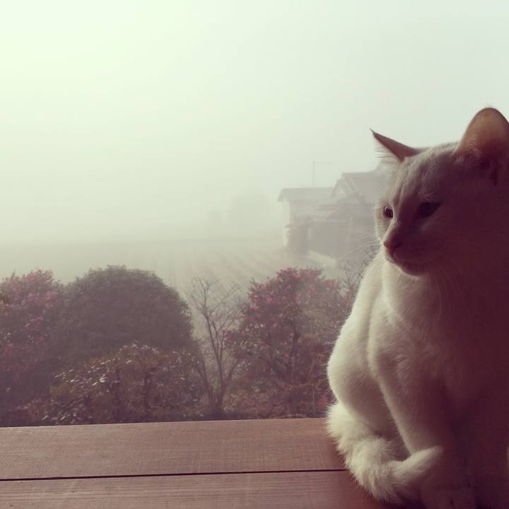 C1052340 9935 4b28 b5d2 9e2d88b3d52f