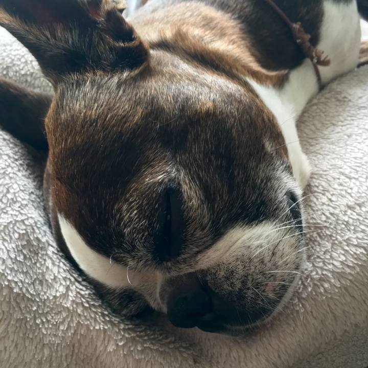 C1056ac8 260d 496a a6c8 e75d2345d8a9