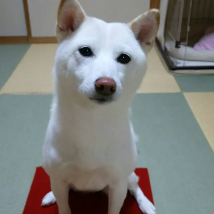 C1058c8b 8e36 424b 8377 47a5780b9a3b