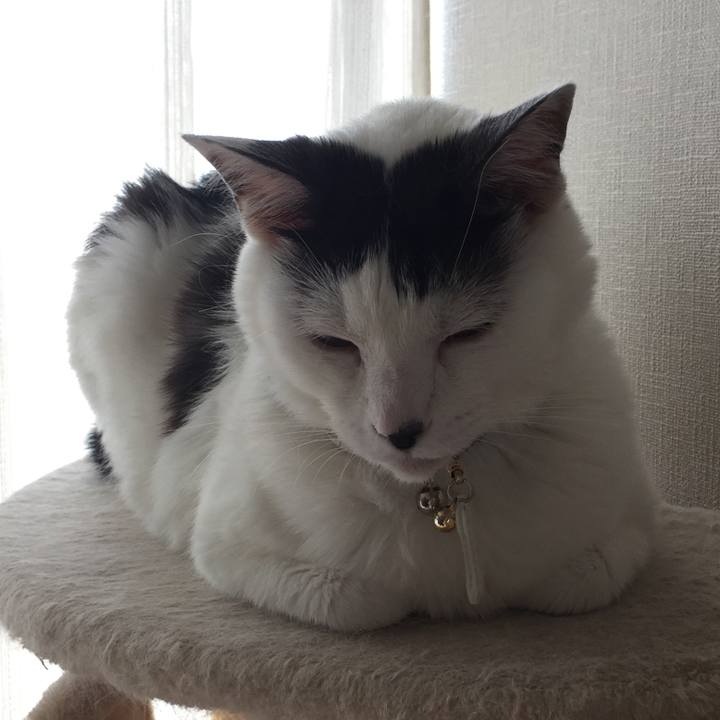 C1064038 5d03 42fc ad5f b2f0e146a37c