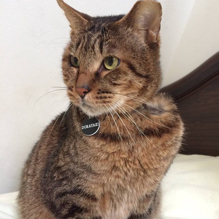 C1066378 df1b 41a6 80c1 56da90e04f8e