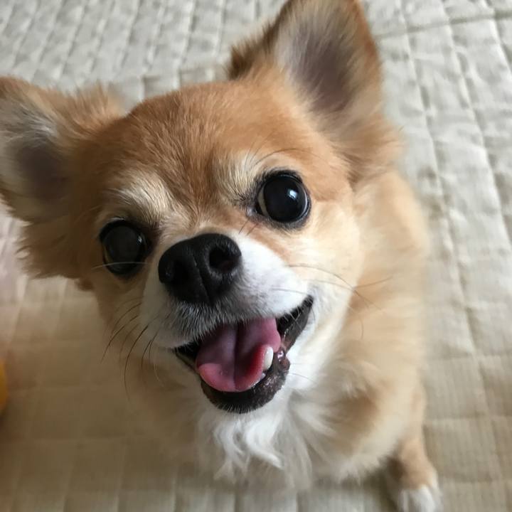 C106f01d e3d2 46ce 9a78 5861d50bbdfe