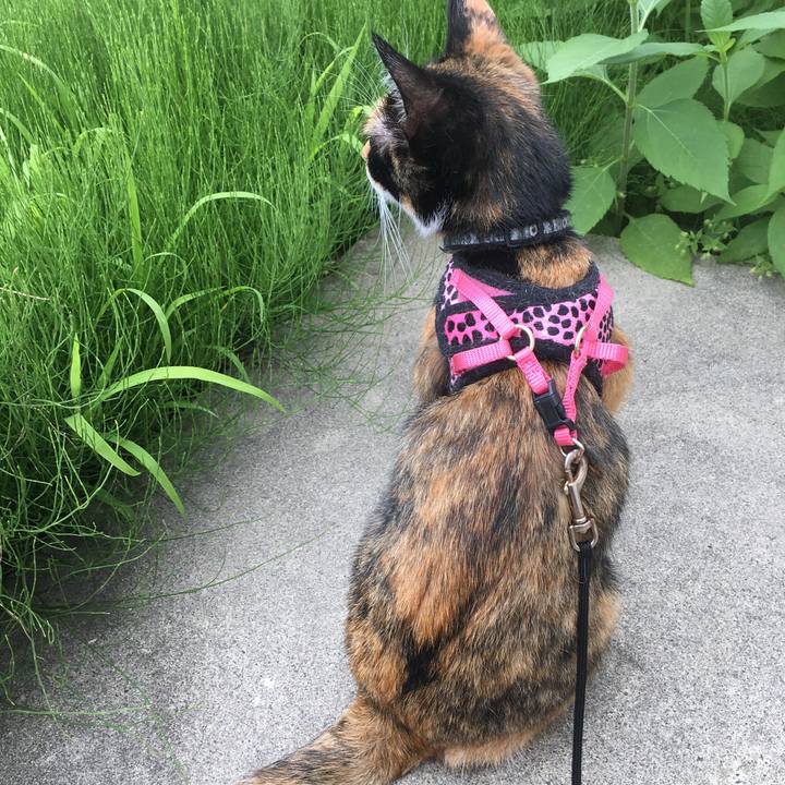 C1082a3f 9b5a 4fee a551 65d8a0ba00d3