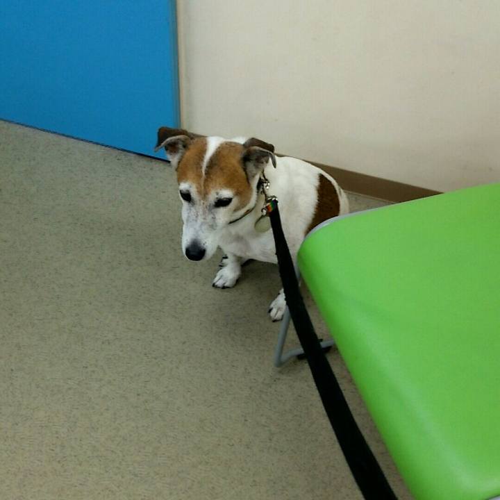 C10965eb 7e17 4544 a96d 0d02d48307ac