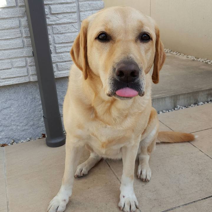 C1098766 2f2a 447e a6dd bb684aad713b