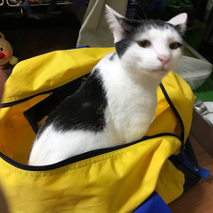 C10991fe b044 4c6d 8dab 18f923ca9c78