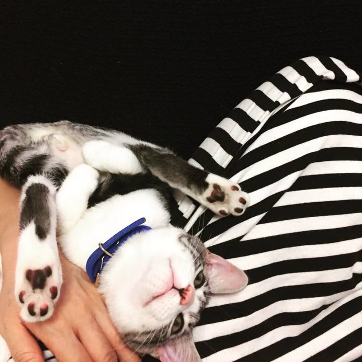 C109c957 85d5 4c9a 919b b221ecfb83fa