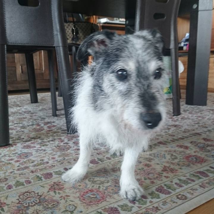 C10a26e5 669a 4f82 9474 039cb0bf3780