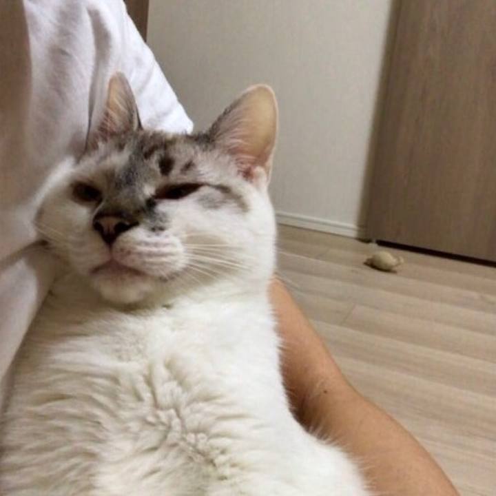 C10ac257 d194 431b b023 d4a0495b949c