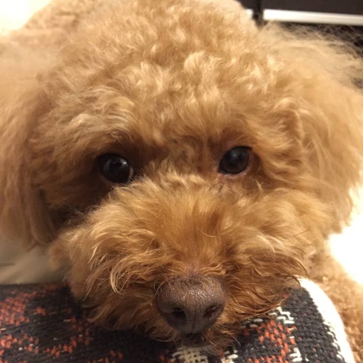 C10ae4c9 3833 4696 aa5d e37c03daf894