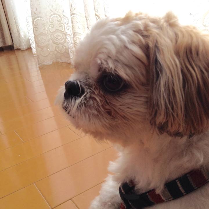 C10aec16 9ef3 4efc 95f3 64c1712212ce