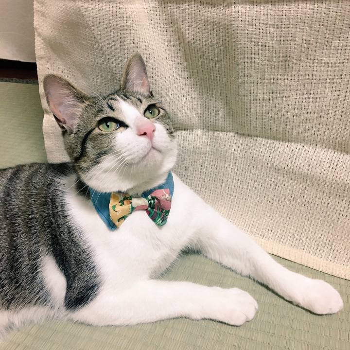 C10b7ef3 9fb0 49be ba1a 18814aa510c5