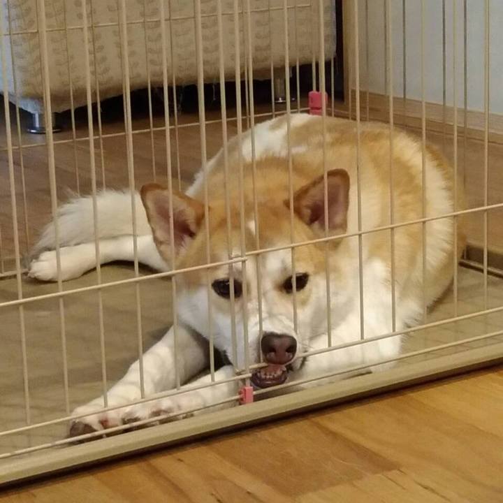 C10b972a cf4a 4409 8f25 b4cfdcbc887f