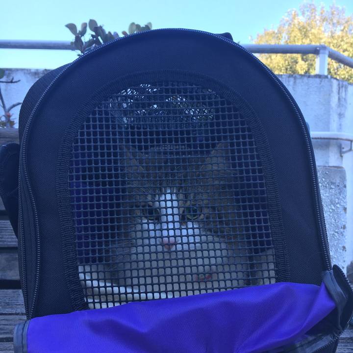 C10bbadb 9645 4b6a 92c9 c7e883c7367a