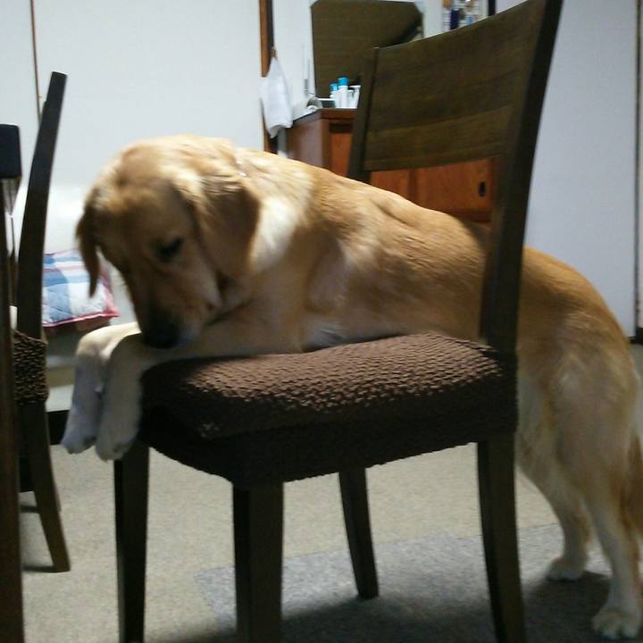 C10bca29 387e 43bc b7a0 052b9e4a688d