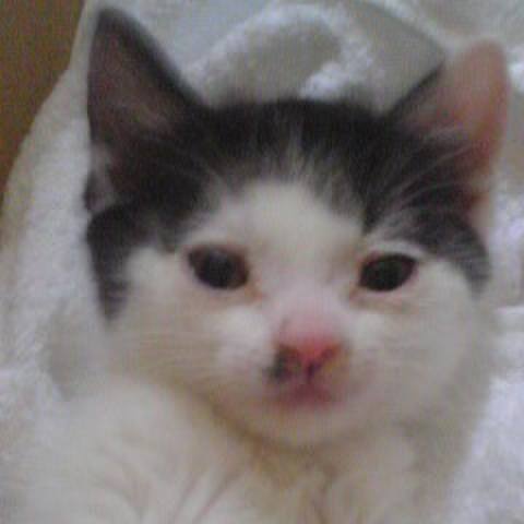 C10c15c7 3b3c 4cc5 8858 57c09e9ac7c3