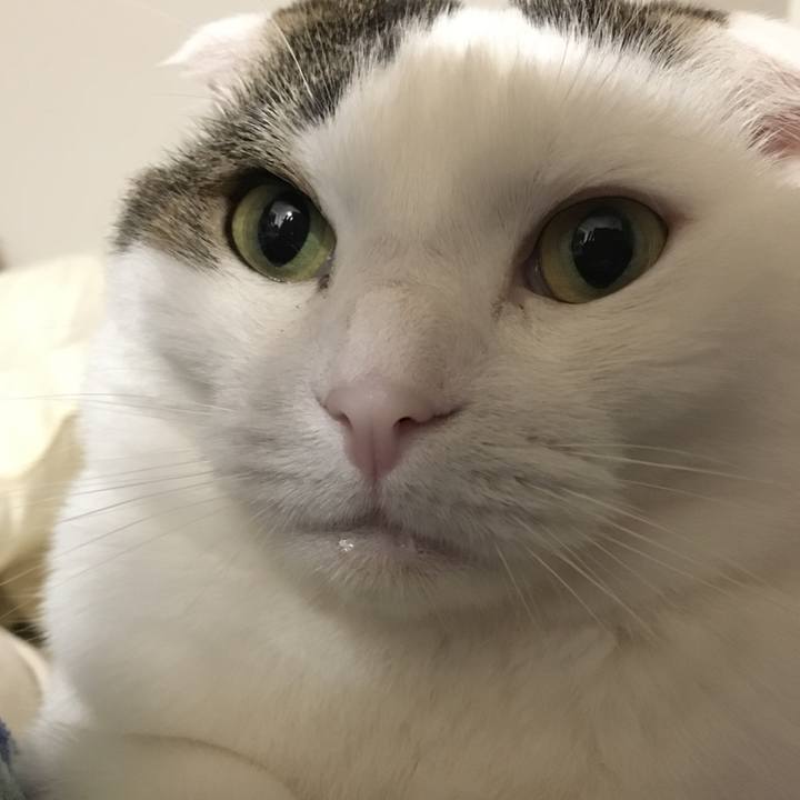 C10c9d24 204e 427a 8dc8 e123f74d485a