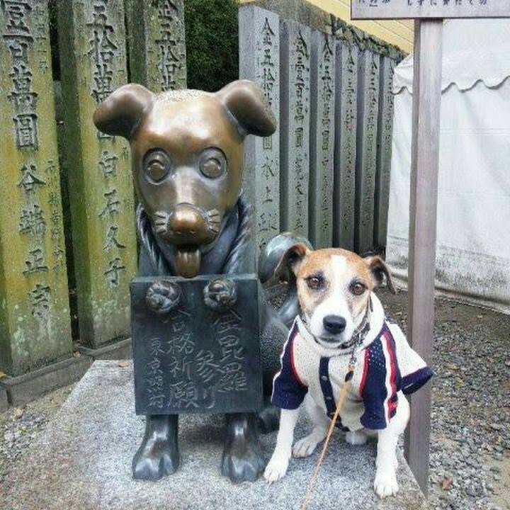 C10cd0ad 0d19 4ebf b3f6 7dc74c50e7fe