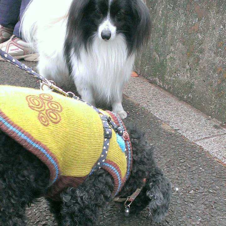 C10ce965 0254 4830 bd52 af3b4cb2640d