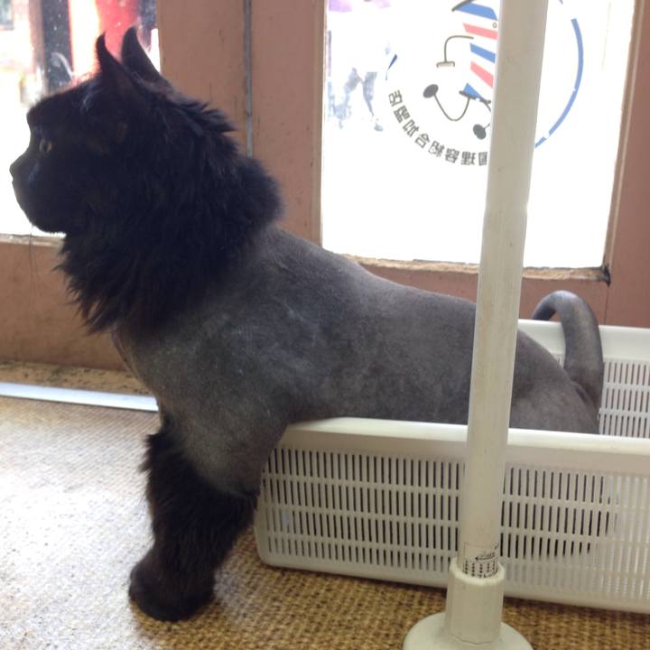 C10cfef4 647f 4be6 8cc0 18de1eeb32a6