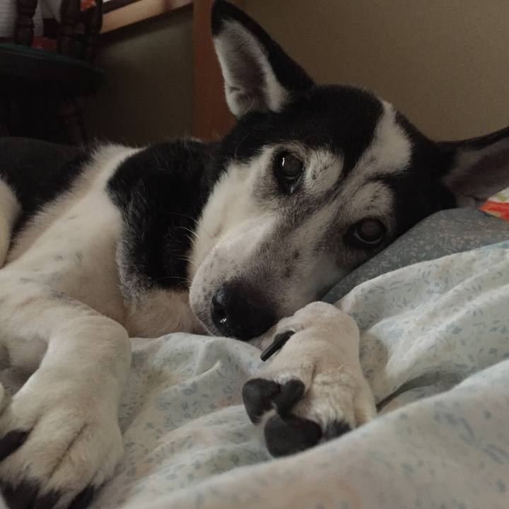 C10d6441 02b8 448b 93e6 7f5d82c0d171