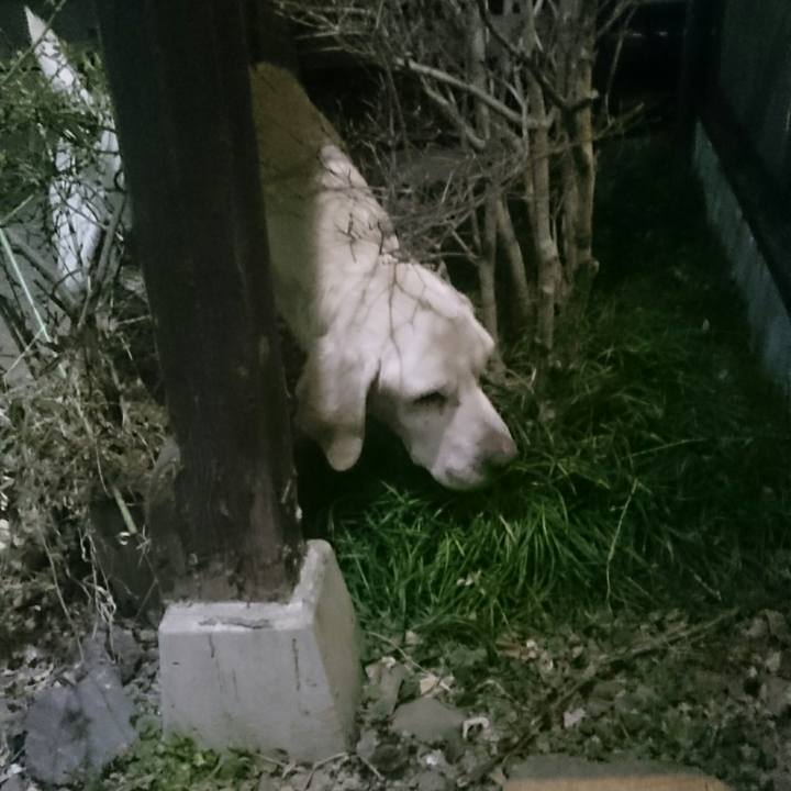 C10dd7a9 f2cc 4a98 8752 e20e113d5047