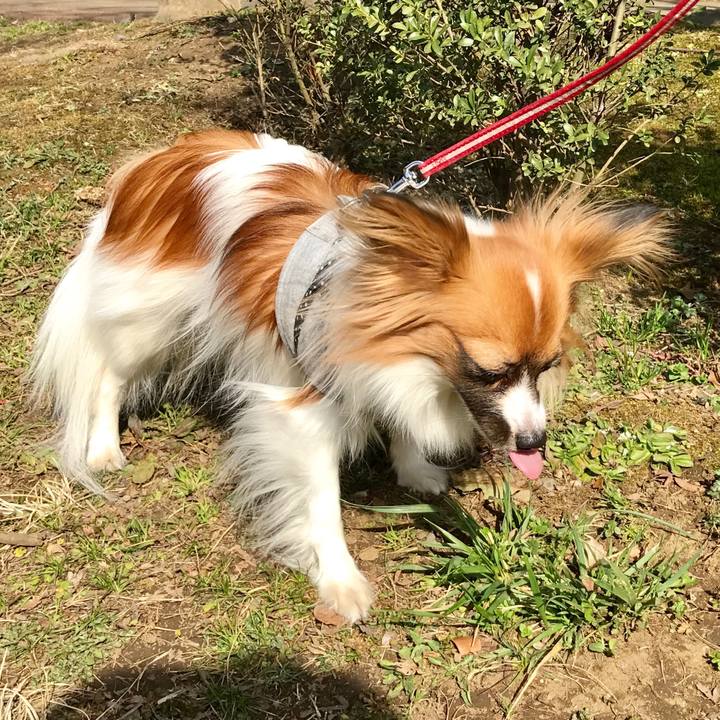 C10df895 8c93 48bd 8d37 fb2aa5dc8da9