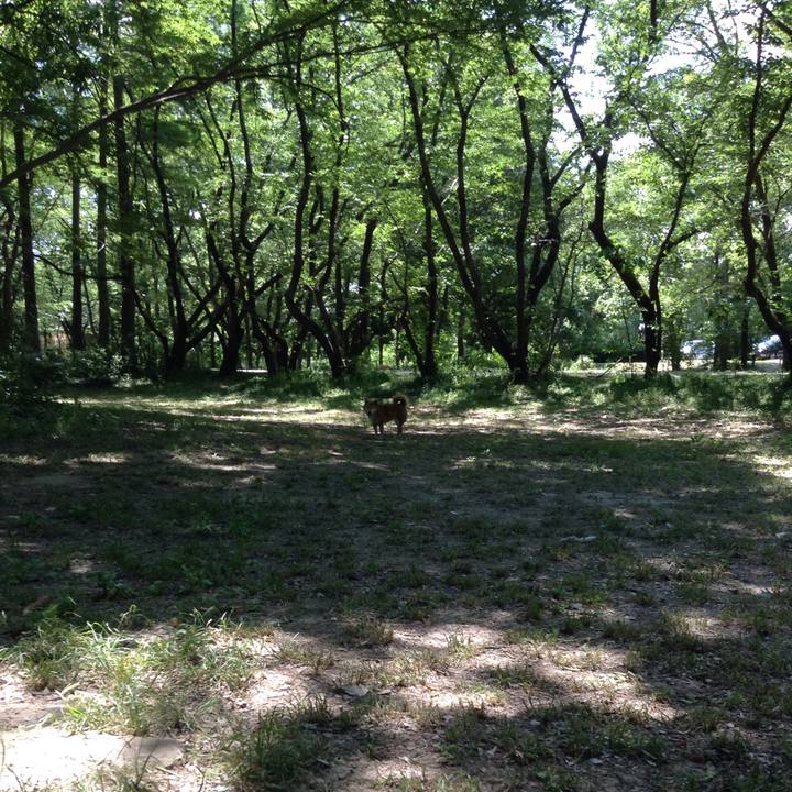 C10e3557 aa12 43c1 9c6c 982116eae272