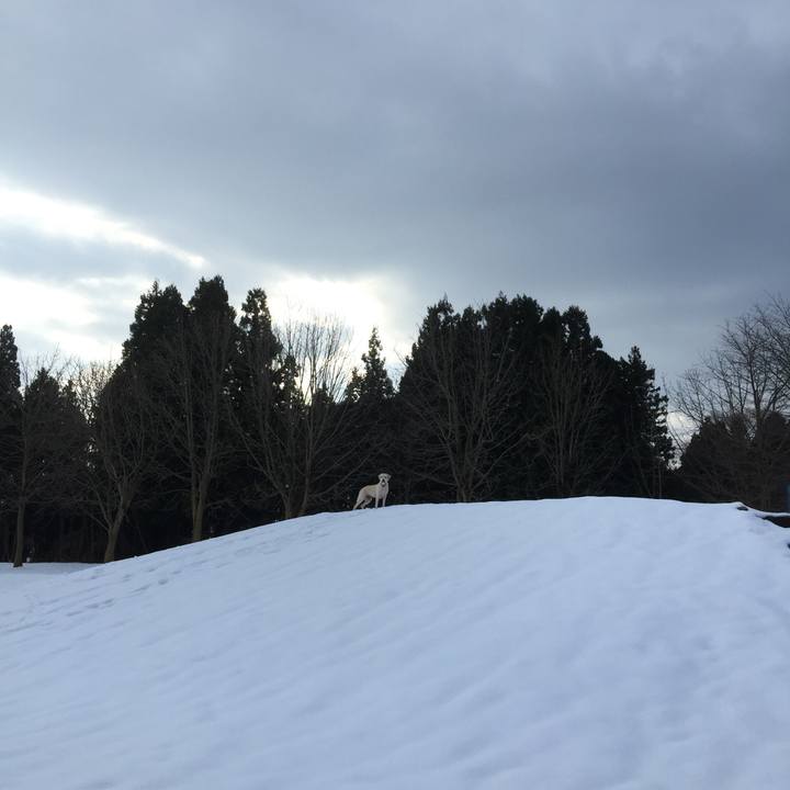 C10e773e a95f 4284 acb3 817635372412