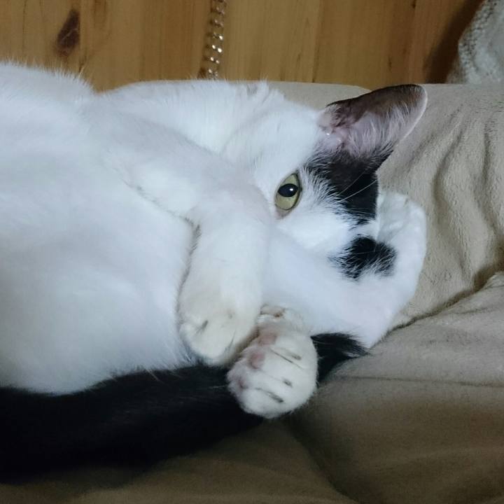 C10f038b 9890 41f8 acbe 1d2983d233e3