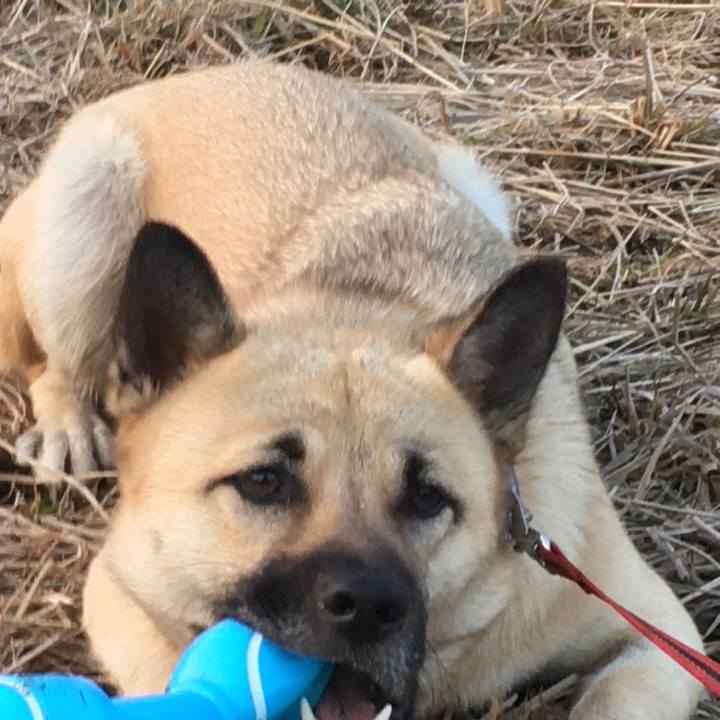 C10f5207 74e8 420d ba89 736ead887feb