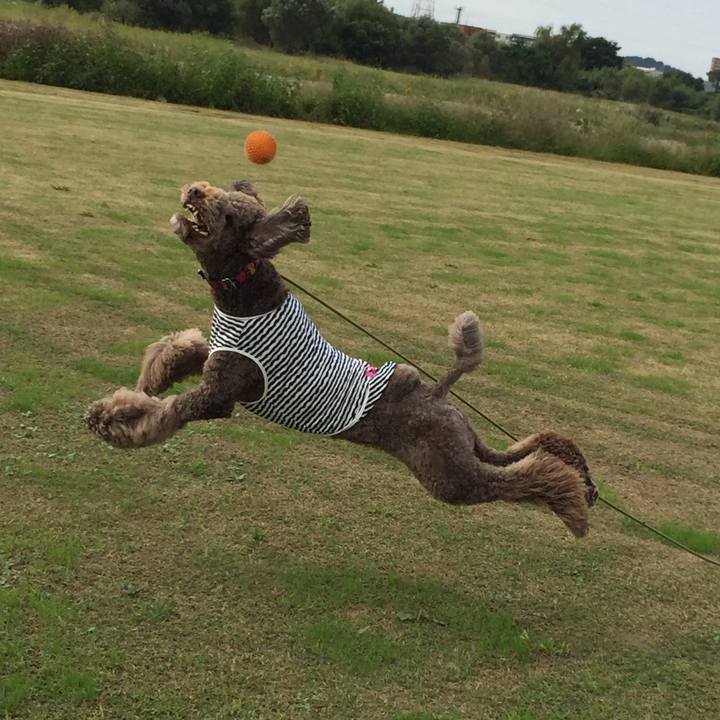 C10f6aca 87a7 4dd9 a687 31acd4b04b1f