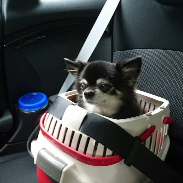 C10fc8eb e345 4633 a361 47037ea04e44