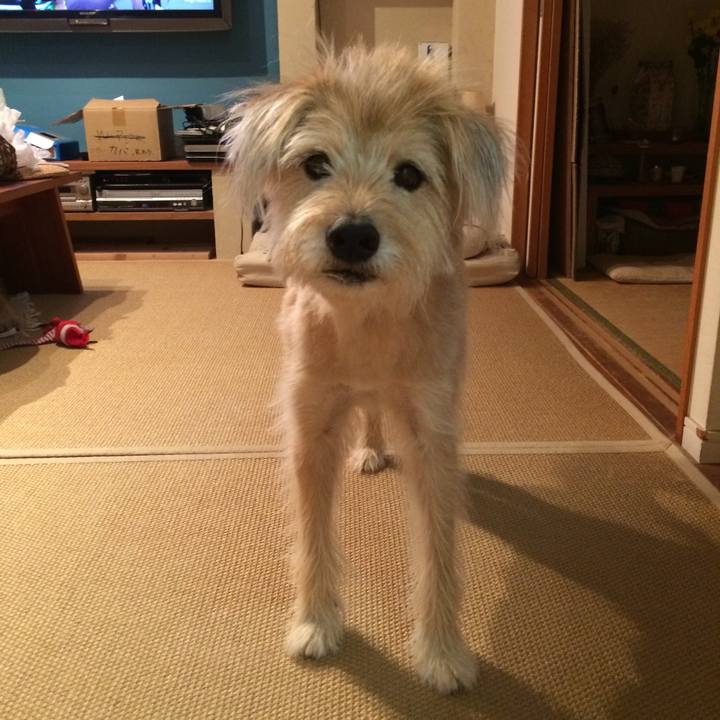 C10ff8ee 2556 41ad 9dfc 85caf42d9a14