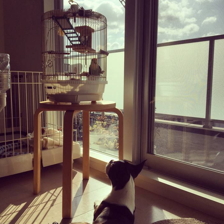 C11122ef 9791 4a4f 816e 2fb6aa10643e