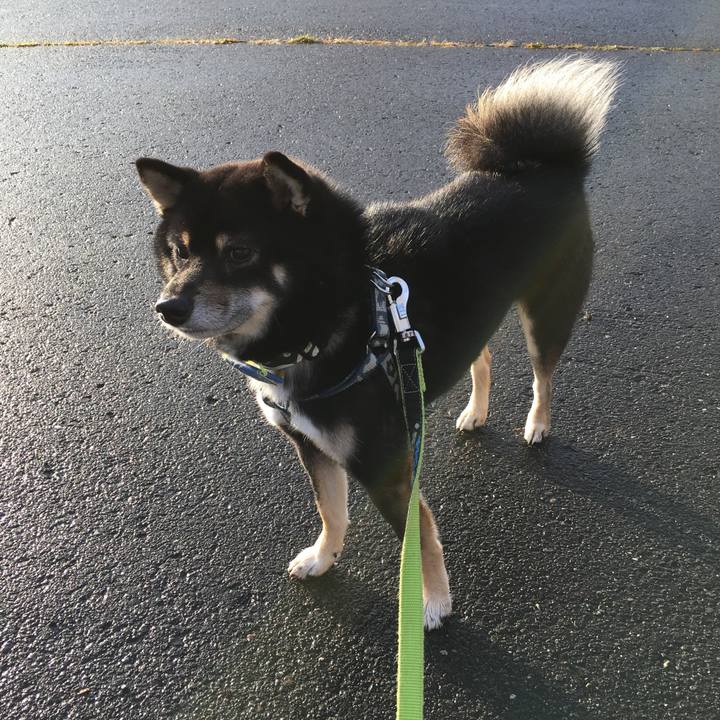 C1116330 fbbf 4afa 8969 e07b34210125