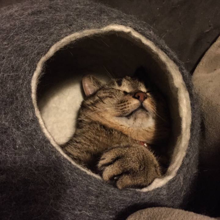 C111c5af 6657 41ea a3c7 8c127ea1f3c1