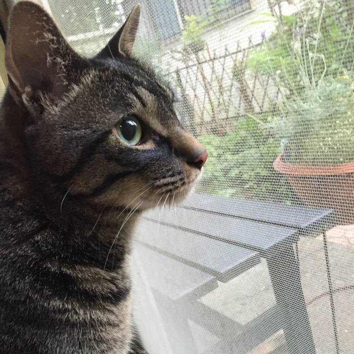 C111e1b2 8b7c 4a42 9e9f bde625ab660d